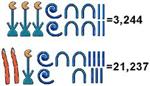 Egyptian Math 